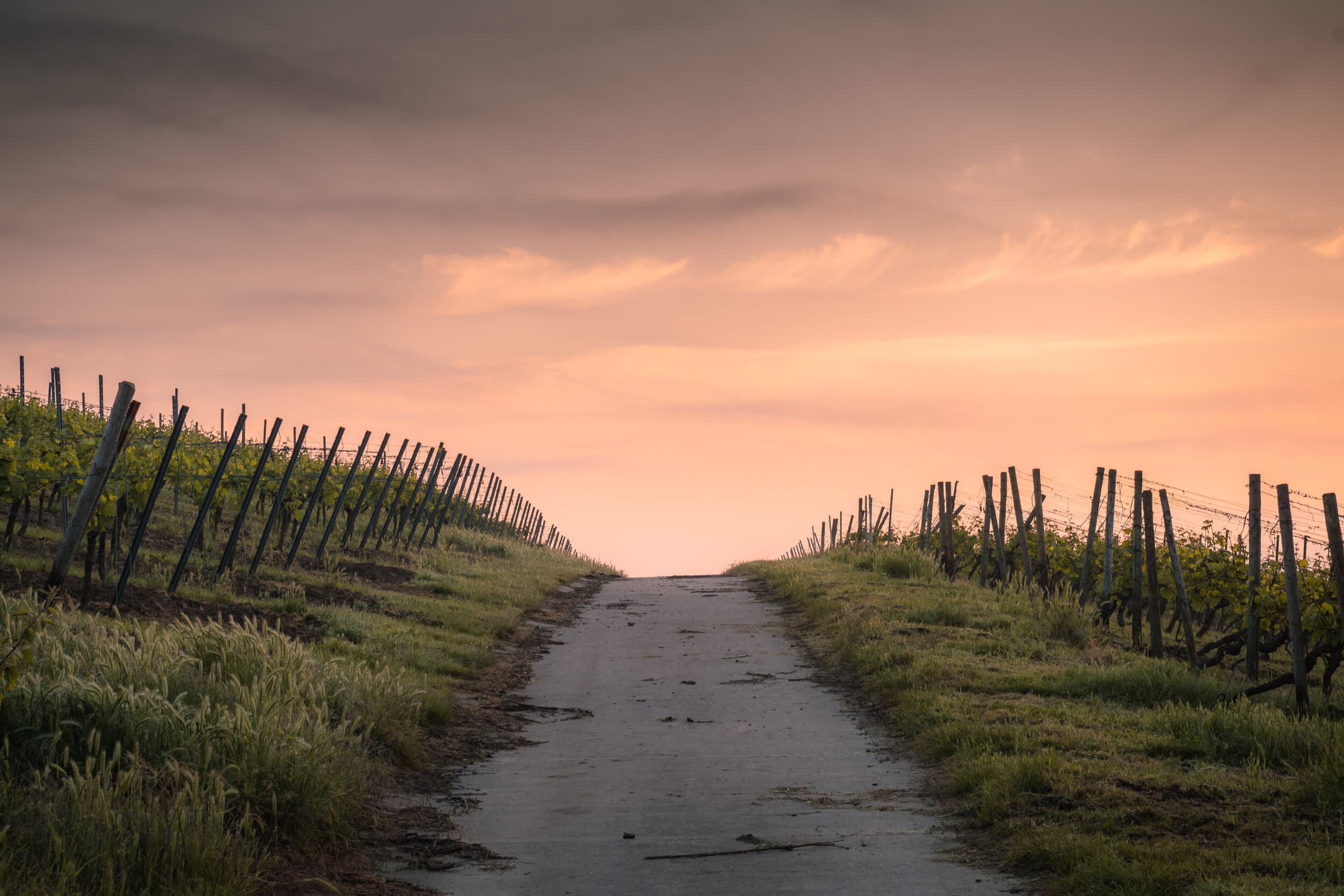 Path to Agile Coaching hero imagery.