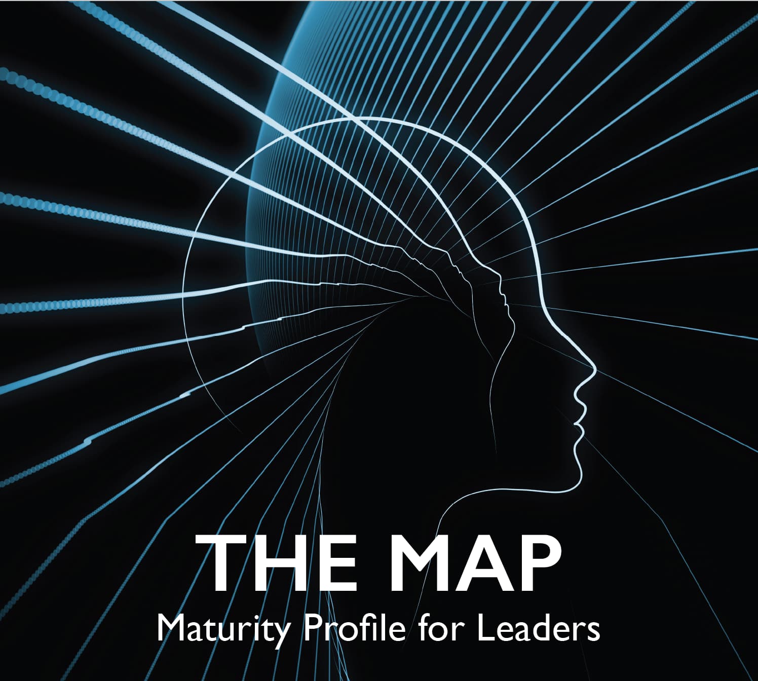 Leadership Maturity Assessment (The MAP Experience)